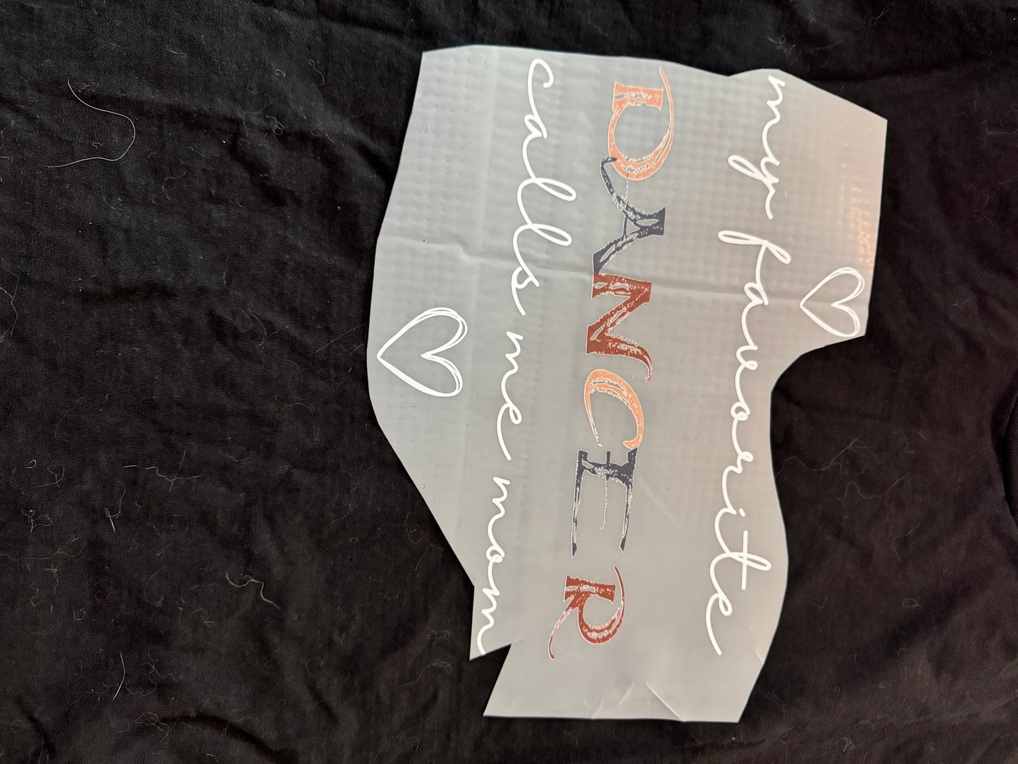 DTF Transfer Only - I'm Voting For The Felon | Pocket Transfer Only