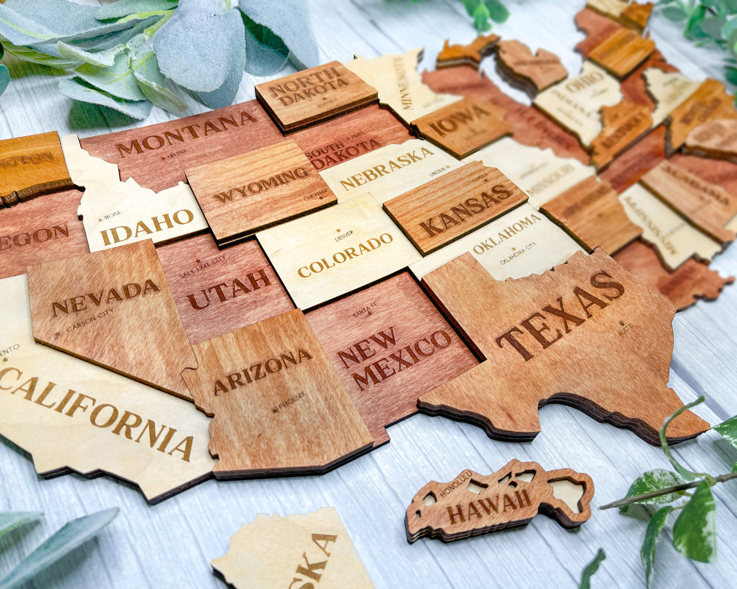 3D USA Map